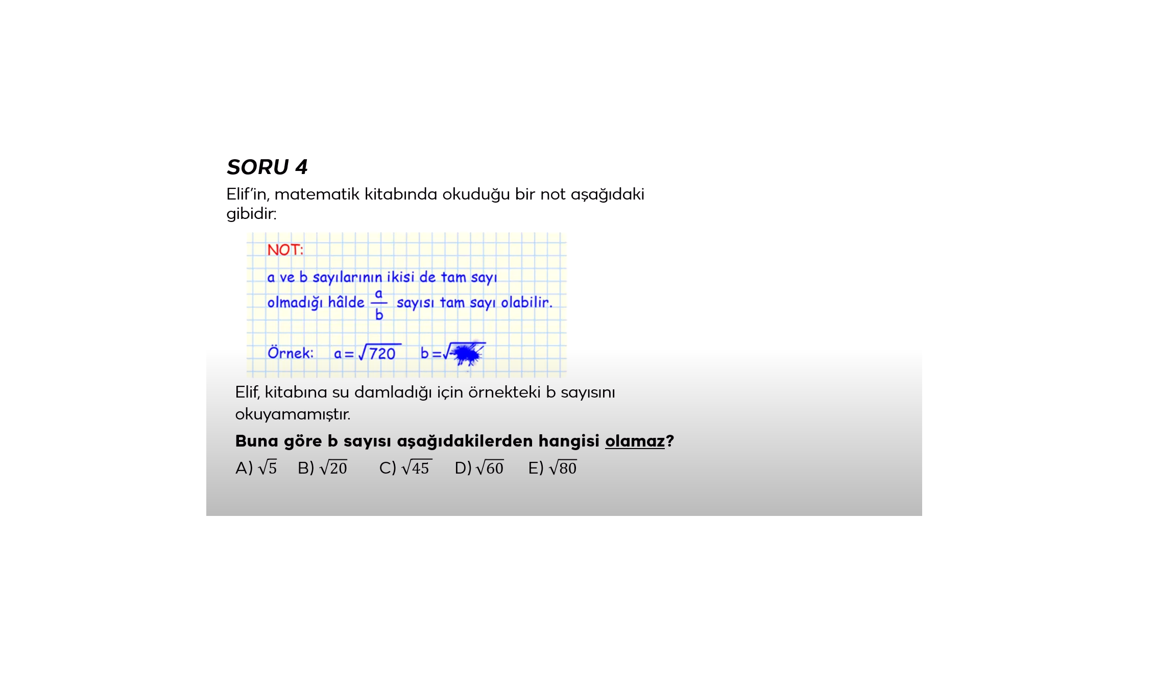 Resim
